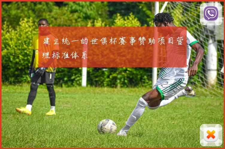 建立统一的世俱杯赛事赞助项目管理标准体系