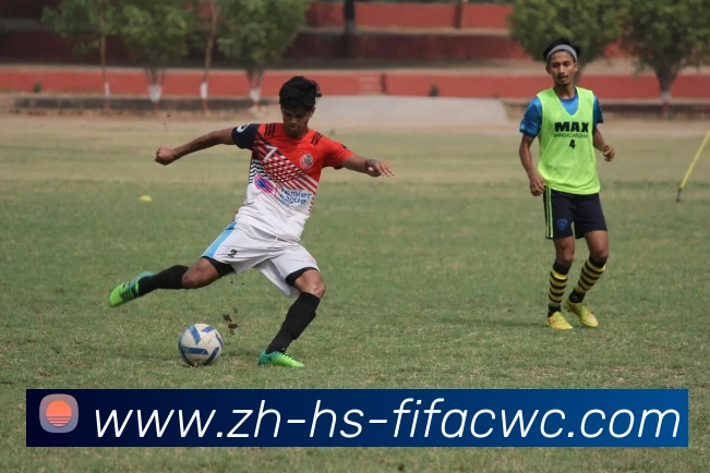 世界杯在线观看平台生态图