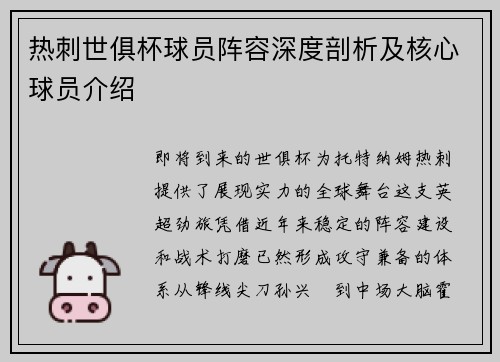 热刺世俱杯球员阵容深度剖析及核心球员介绍