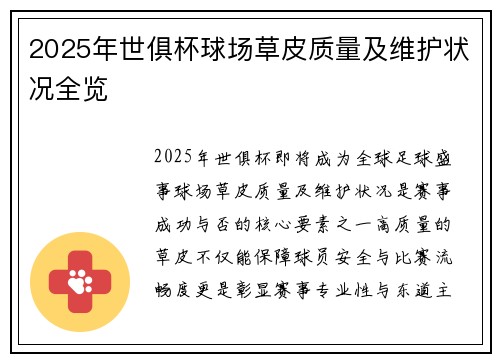 2025年世俱杯球场草皮质量及维护状况全览