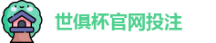 2025世界俱乐部杯